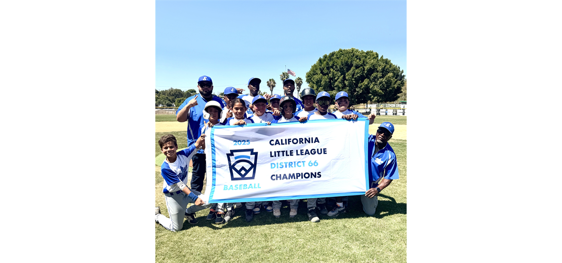 2025 District 66 Little League division Champs